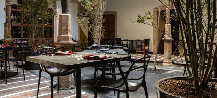 莱昂柯布艾琳娜酒店 - 设计酒店会员(Elena de Cobre, Leon, a Member of Design Hotels)图片