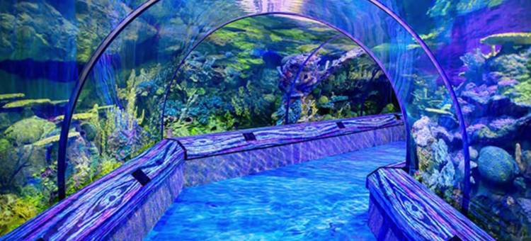 奥兰多国际大道-标志假日酒店(Holiday Inn Orlando International DR-Icon)图片