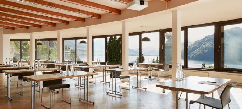 菲茨瑙阿尔卑斯植被湖泊与研讨会酒店(See- Und Seminarhotel FloraAlpina Vitznau)图片