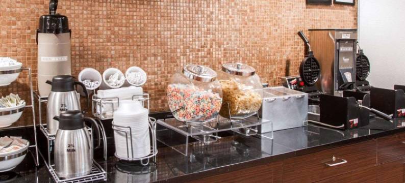 布法罗机场舒眠套房酒店(Sleep Inn & Suites Buffalo Airport)图片