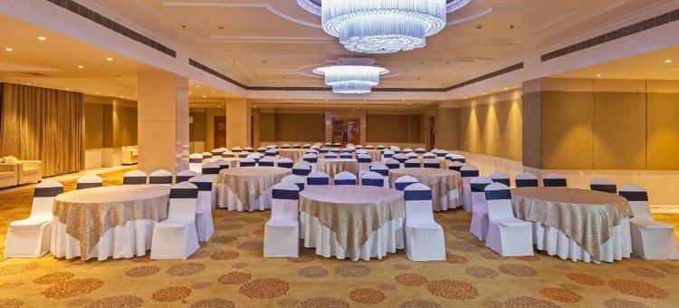 巴特那柠檬树高级酒店(Lemon Tree Premier, Patna)图片