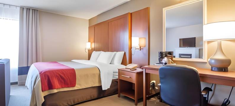 巴瑟斯特舒适酒店(Comfort Inn)图片