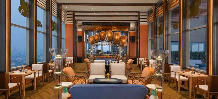 新德里市中心诺富特酒店(Novotel New Delhi City Centre)图片