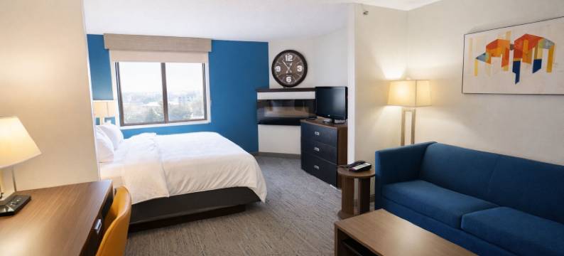 圣保罗伍德伯里智选假日酒店及套房-由洲际酒店集团管理(Holiday Inn Express & Suites ST. PAUL - WOODBURY by IHG)图片