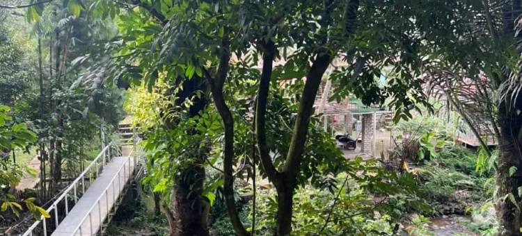 Villa Sentul Forest Club图片