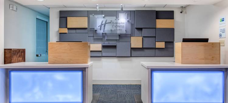 智选假日套房酒店阿尔科(诺克斯维尔机场)(Holiday Inn Express & Suites Alcoa (Knoxville Airport))图片