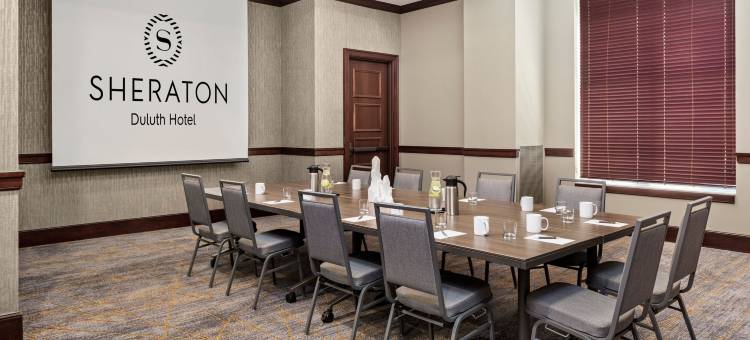德卢斯喜来登酒店(Sheraton Duluth Hotel)图片