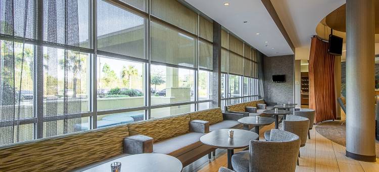 坦帕北/坦帕棕榈万豪SpringHill酒店(SpringHill Suites Tampa North/I-75 Tampa Palms)图片
