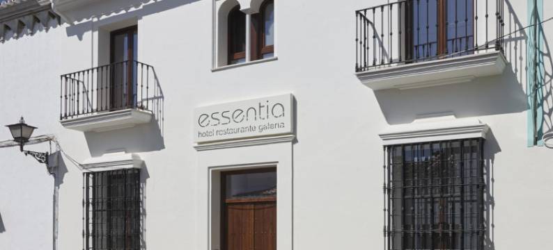 加莱里亚艾森提亚酒店(Hotel Galería Essentia)图片