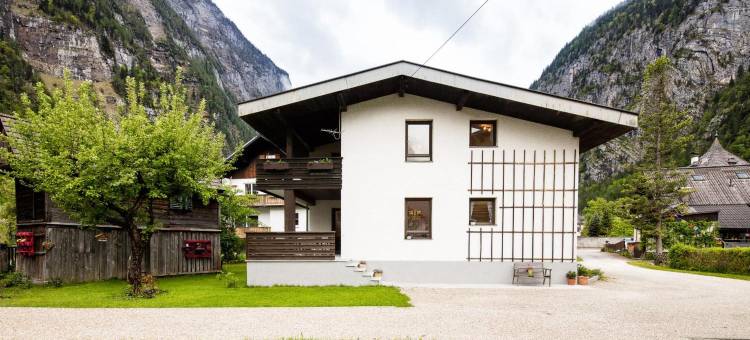 哈尔施塔特1号W&S行政公寓(W & S Executive Apartments - Hallstatt I)图片