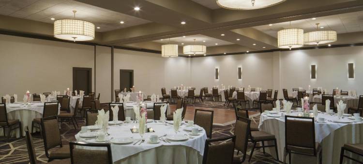 希尔顿费城机场大使套房酒店(Embassy Suites by Hilton Philadelphia Airport)图片