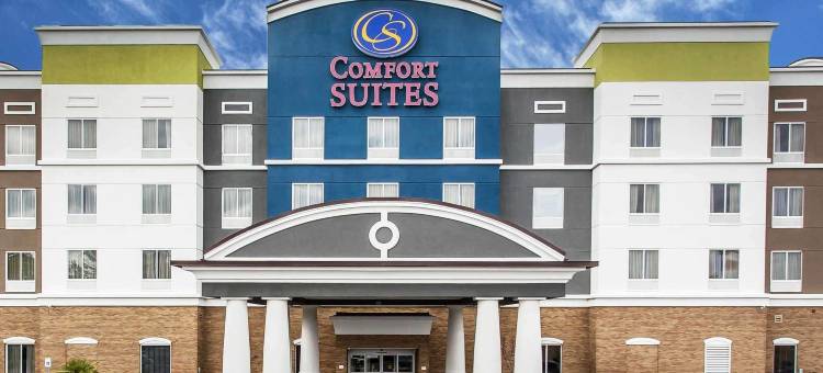 佛伦伦萨I-95舒适套房酒店(Comfort Suites Florence I-95)图片