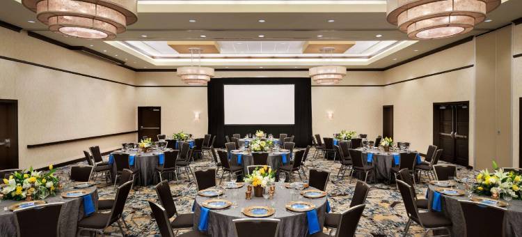 希尔顿花园酒店-亚特兰大市区(Hilton Garden Inn Atlanta Downtown)图片