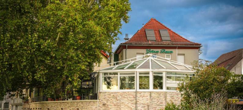 祖格恩巴姆旅馆(Zum grünen Baum Hotel Frankfurt Airport)图片