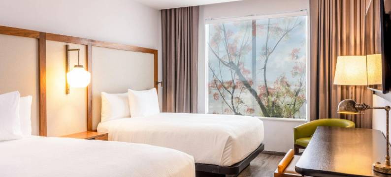 Fairfield by Marriott Inn & Suites Cancun Downtown图片