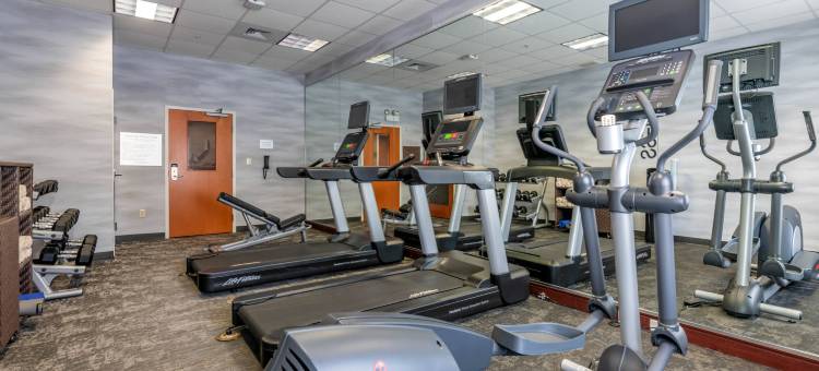 假日塔彭斯普林斯万枫套房酒店(Fairfield Inn & Suites Holiday Tarpon Springs)图片