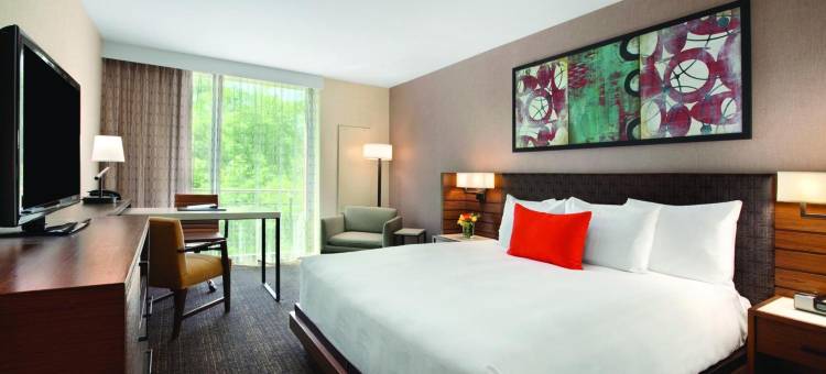 芝加哥洛奇奥克布鲁克Hyatt酒店(The Hyatt Lodge at Oak Brook)图片