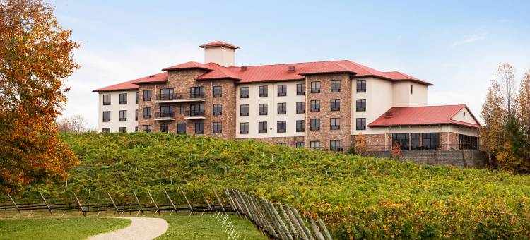 智选假日套房酒店列克星敦的NW -葡萄园(Holiday Inn Express & Suites Lexington NW-The Vineyard)图片