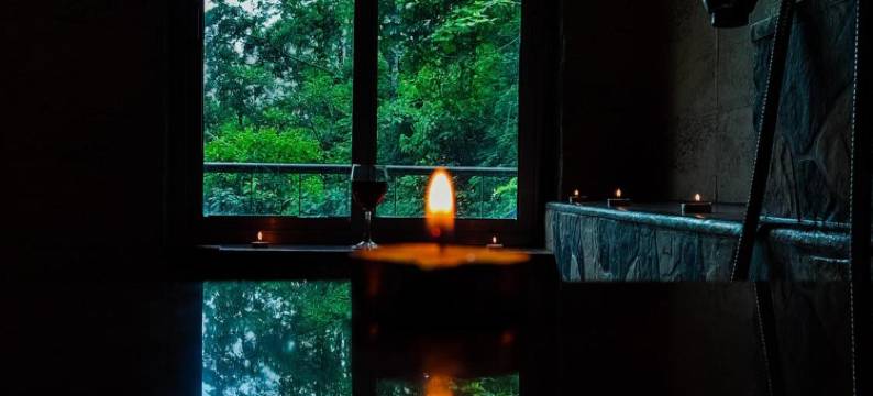 山顶斯维斯小屋酒店(Hill Top Swiss Cottage)图片