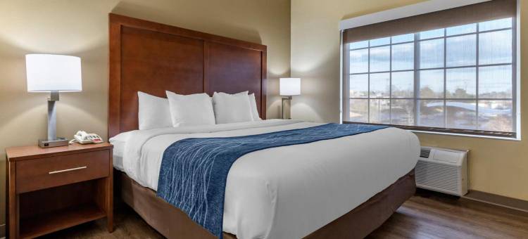 格林斯伯勒温斯顿塞勒姆高点丽怡酒店(Comfort Inn & Suites High Point - Archdale)图片