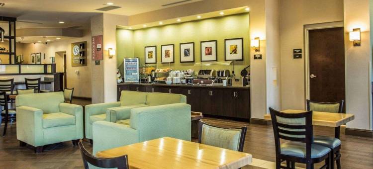 舒适套房酒店-诺曼湖亨特斯维尔(Comfort Suites Lake Norman - Huntersville)图片