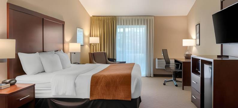 舒适套房酒店(Comfort Inn & Suites)图片