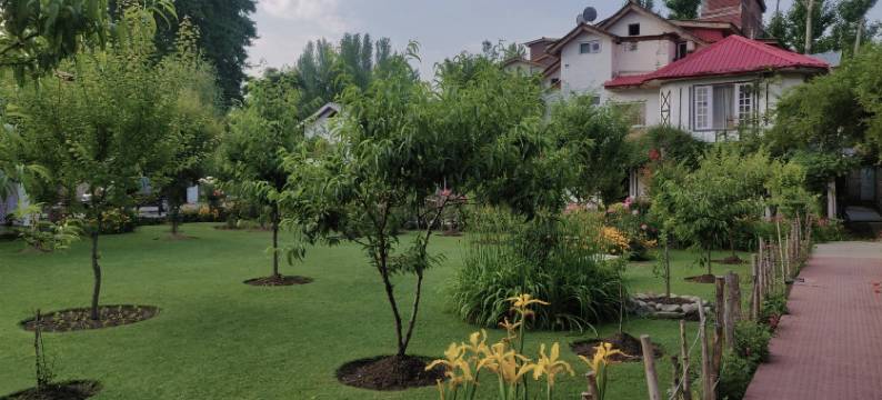 玛哈泰寺家庭旅馆(Mahatta Homestay)图片