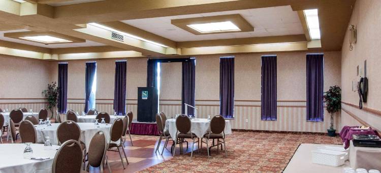 凯艺套房酒店(Quality Hotel & Suites)图片