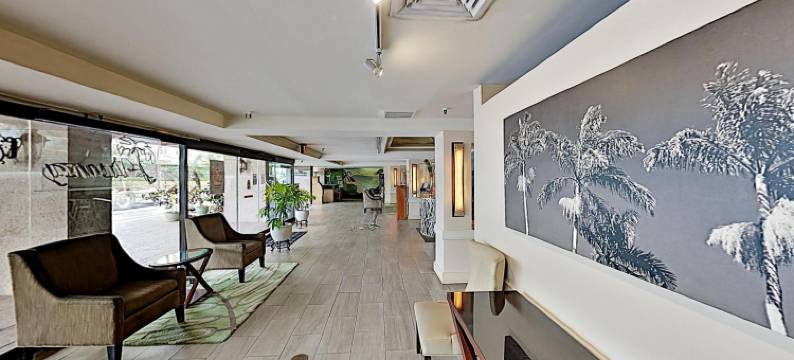 怀基基水立方棕榈树酒店(Aqua Palms Waikiki)图片