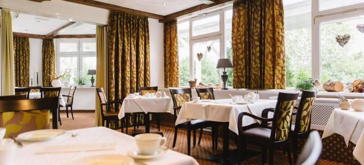 伊尔森堡自然度假村Regio酒店(Regiohotel Naturresort Ilsenburg)图片
