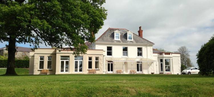 曼森兰丝特方乡村民宿(Mansion House Llansteffan)图片