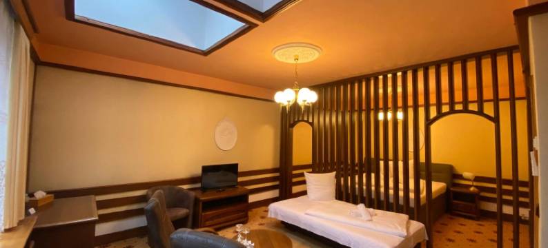 布尔诺公园酒店(Parkhotel Brno)图片