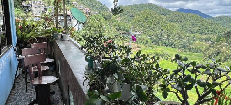 巴纳韦格林菲尔德餐厅旅馆(Banaue Greenfield Inn and Restaurant)图片