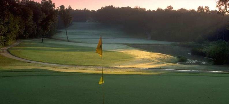 奥福尔伦圣路易斯希尔顿花园酒店(Hilton Garden Inn St. Louis/O'Fallon MO)图片