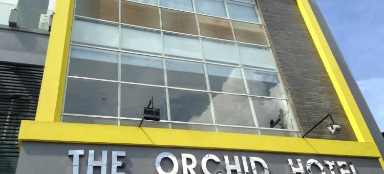 兰花酒店(The Orchid Hotel)图片