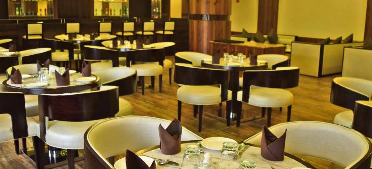 卡姆乐什大陆酒店(Kamlesh Continental)图片