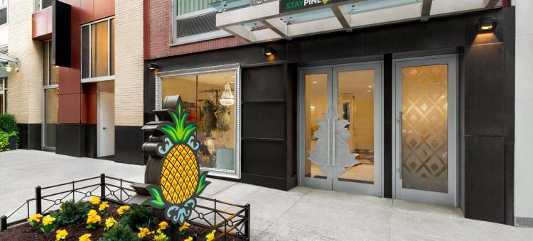菠萝居住艺术酒店, 中城(Staypineapple, An Artful Hotel, Midtown New York)图片