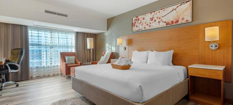 卡尔加里机场丽笙酒店及会议中心(Radisson Hotel & Conference Centre Calgary Airport)图片