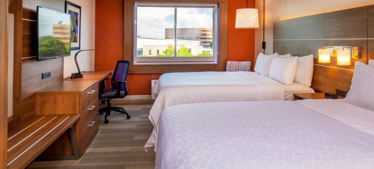 切萨皮克-诺福克智选假日酒店(Holiday Inn Express Chesapeake - Norfolk)图片