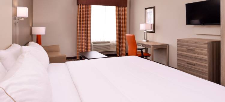 威莱斯智选假日酒店(Holiday Inn Express & Suites Williams)图片