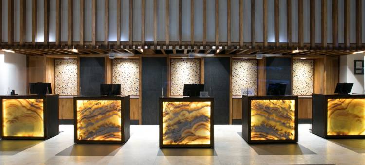 巴亚以塔港万豪水疗度假村(Marriott Puerto Vallarta Resort & Spa)图片