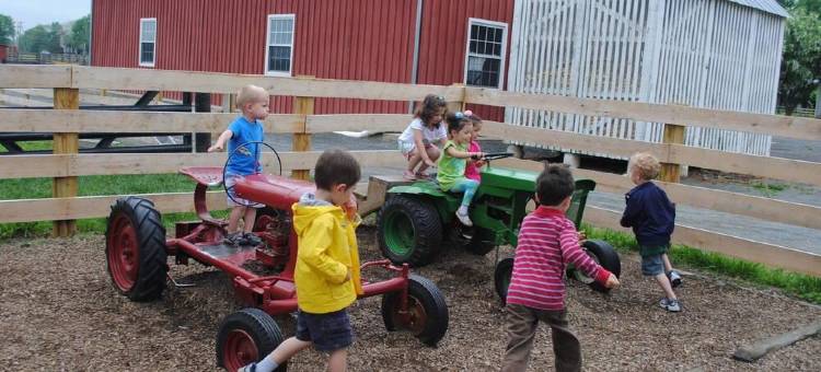 赫恩登雷斯顿万豪SpringHill酒店(SpringHill Suites Herndon Reston)图片