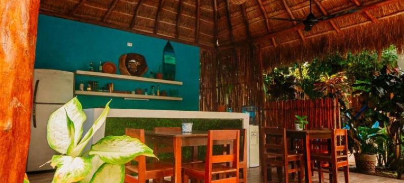 蓝色酒店 36(Azul 36 Hotel)图片