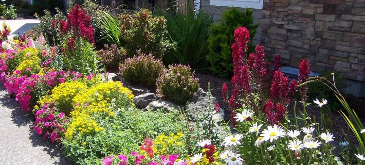 River House Inn, a Baymont by Wyndham图片