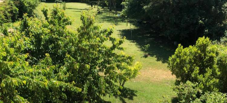 拉曼瑟酒店及餐厅(Hôtel Restaurant la Manse)图片