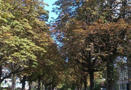 Hotel Franken an der Messe Hotel Overview