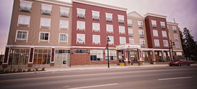 城堡西尔万湖贝斯特韦斯特优质酒店(Best Western Plus Chateau Inn Sylvan Lake)图片