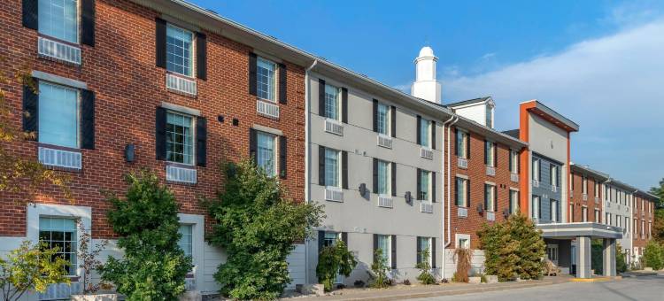 舒适酒店(Comfort Inn)图片