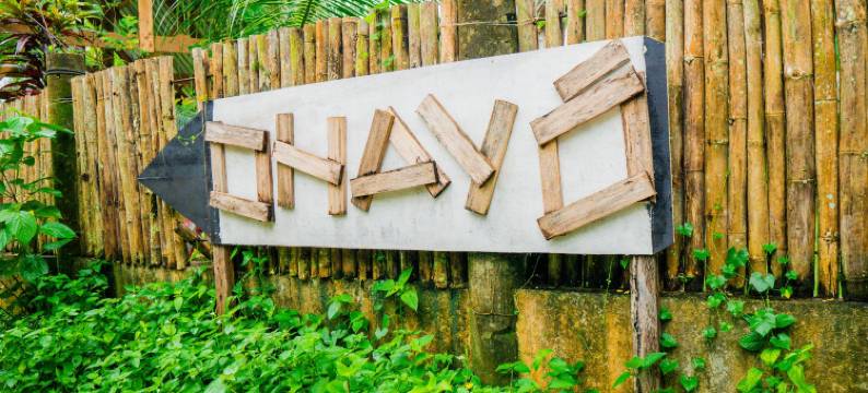 哦哈哟 锡亚高(Ohayo Siargao)图片