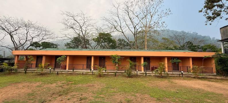 Kaziranga Eco Village图片